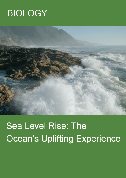 Sea Level Rise: The Ocean’s Uplifting Experience